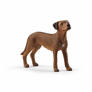 Фигурка - Родезийский риджбек (Schleich, 13895)